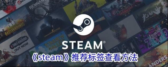 Steam标签