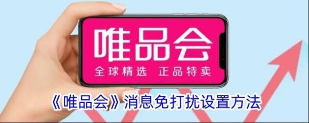 唯品仓消息免打扰