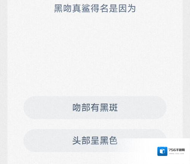 支付宝黑吻